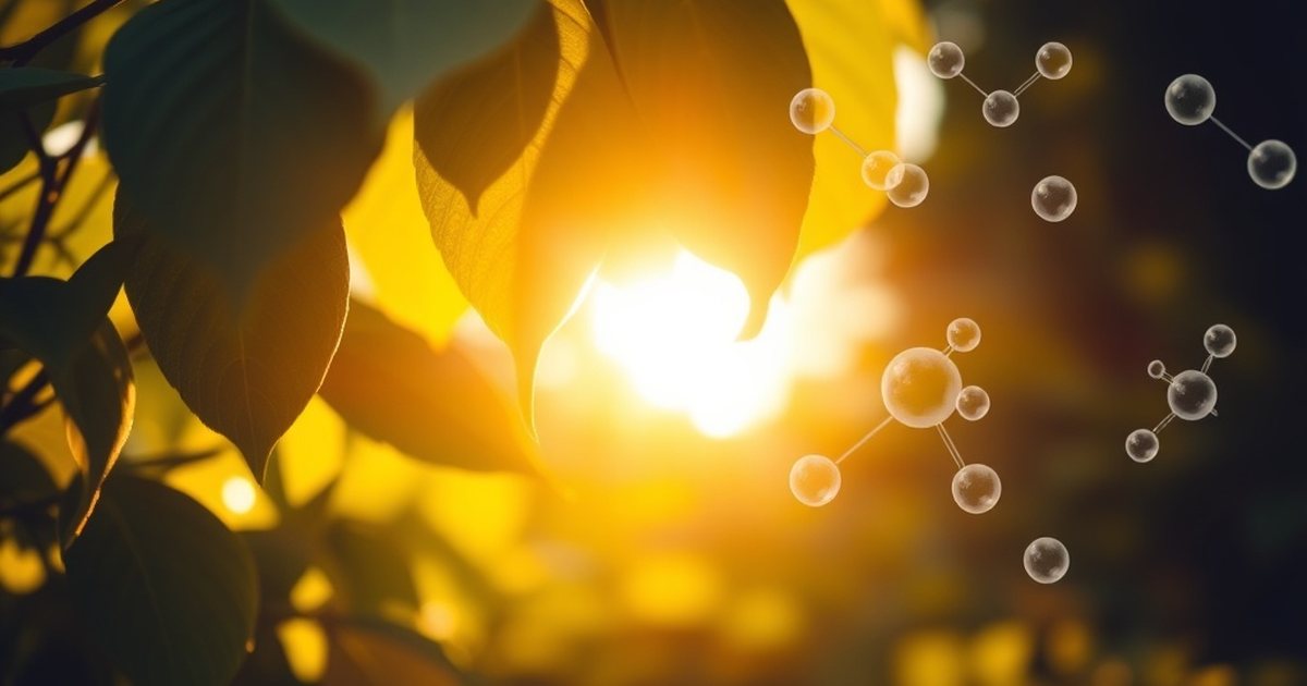 Addressing Deficiency and Supplementation - VitaminD3K2Hub