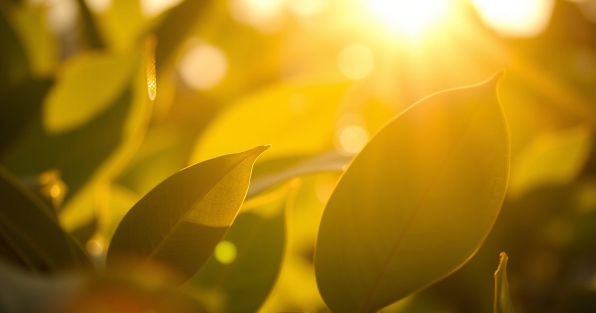 Deficiency Prevalence and Dietary Sources - VitaminD3K2Hub