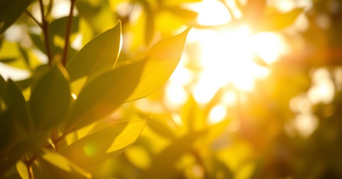 Frequently Asked Questions - VitaminD3K2Hub