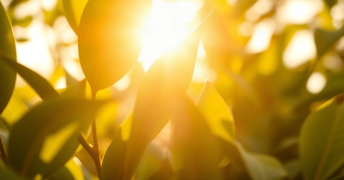 Digestive Health and Nutrient Uptake - VitaminD3K2Hub
