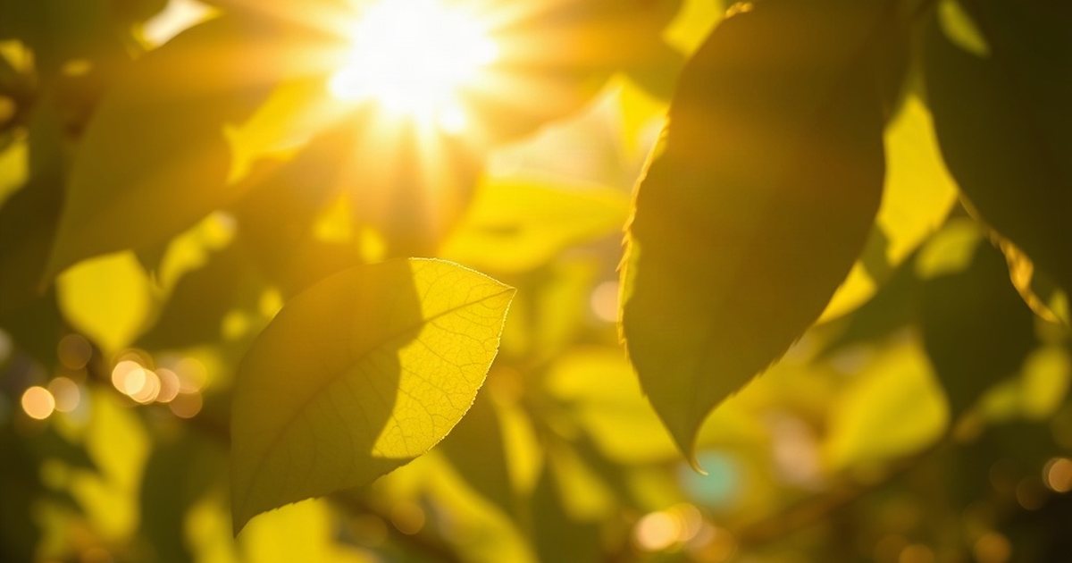 Considering the 'Calcium Paradox' in Midlife - VitaminD3K2Hub