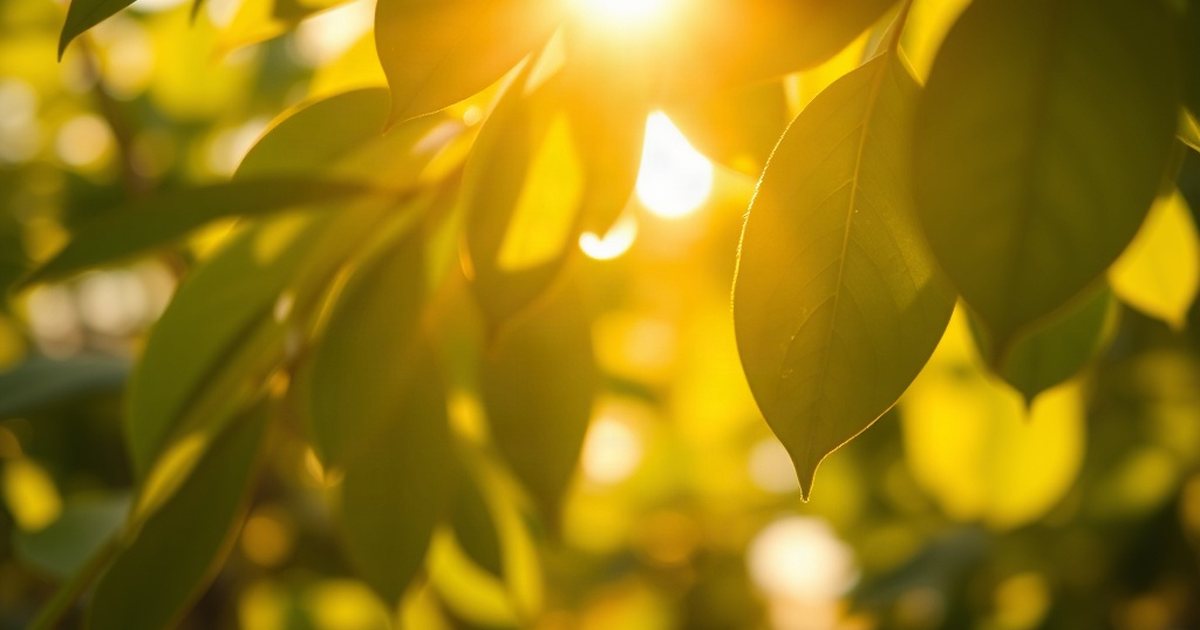 The D3 + K2 Connection and Absorption - VitaminD3K2Hub