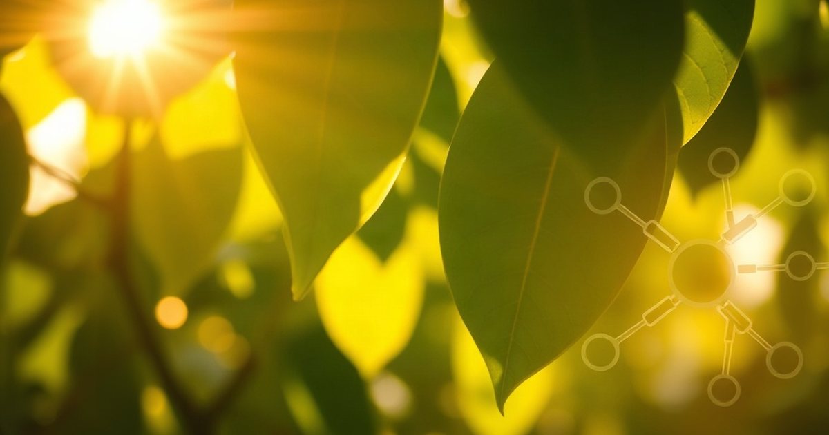 Exploring the Connection Between Vitamin D and Mood - VitaminD3K2Hub