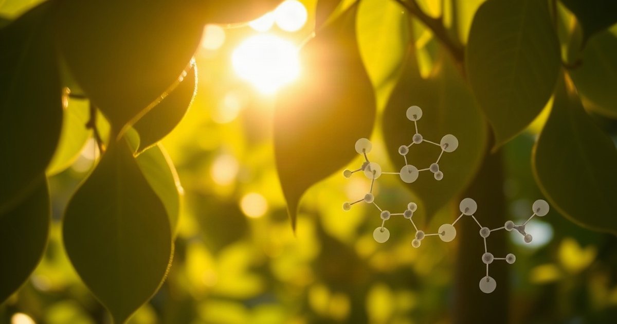 Vitamin K2: Directing Calcium to Where It's Needed - VitaminD3K2Hub
