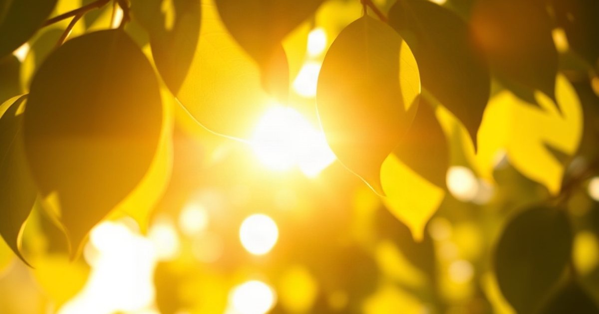 How Activated Vitamin D3 Works: Cellular Mechanisms - VitaminD3K2Hub