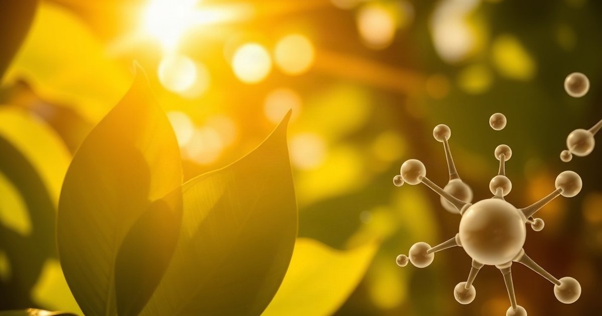 Natural Food Sources of Vitamin D3 - VitaminD3K2Hub