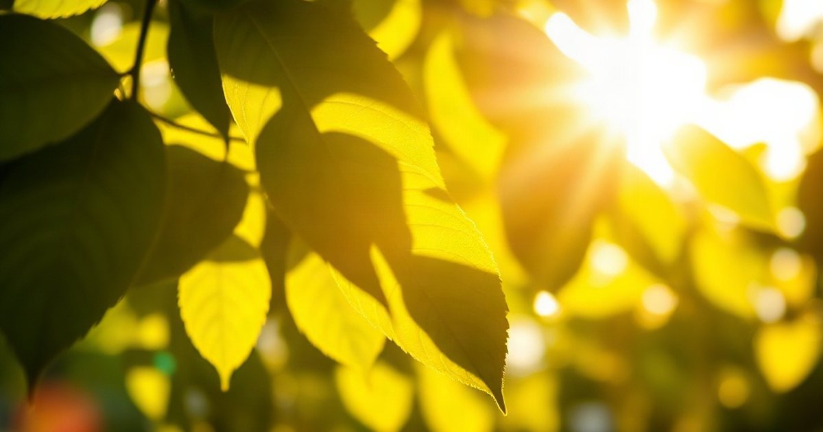 Frequently Asked Questions - VitaminD3K2Hub