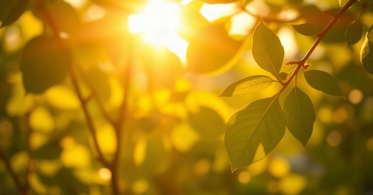 Understanding K2 Dosage for Women 40+ - VitaminD3K2Hub