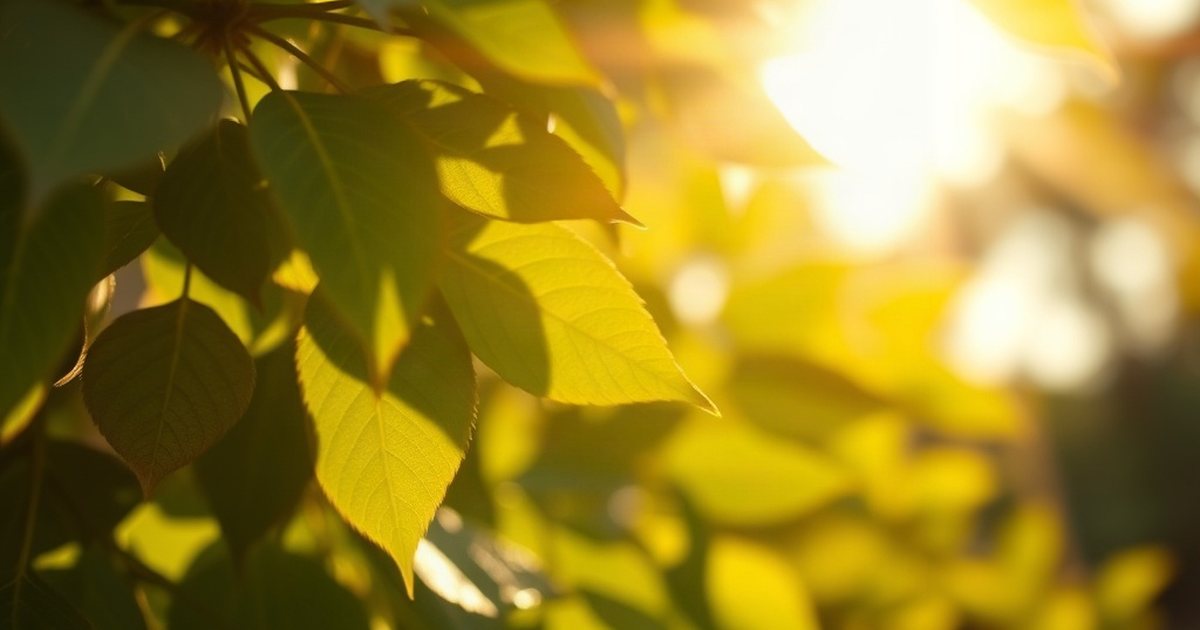 Considering the Vitamin D3 K2 Calcium Combination - VitaminD3K2Hub
