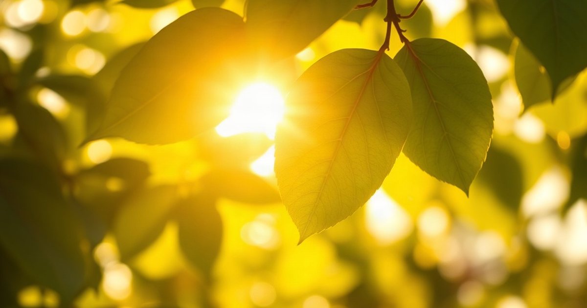 Recognizing Vitamin D3 Toxicity Symptoms - VitaminD3K2Hub
