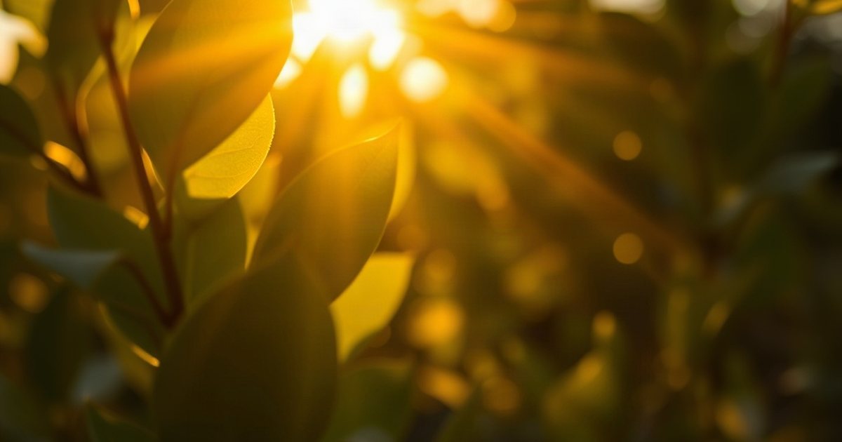 Perimenopause, Mood Changes, and Vitamin D - VitaminD3K2Hub