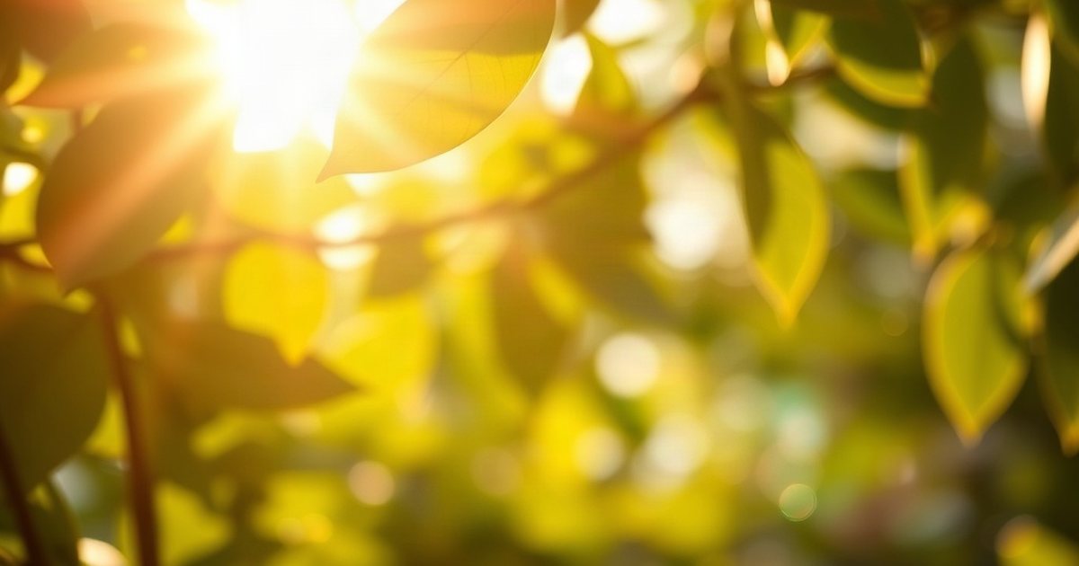Considering Vitamin K2 Alongside Vitamin D3 - VitaminD3K2Hub