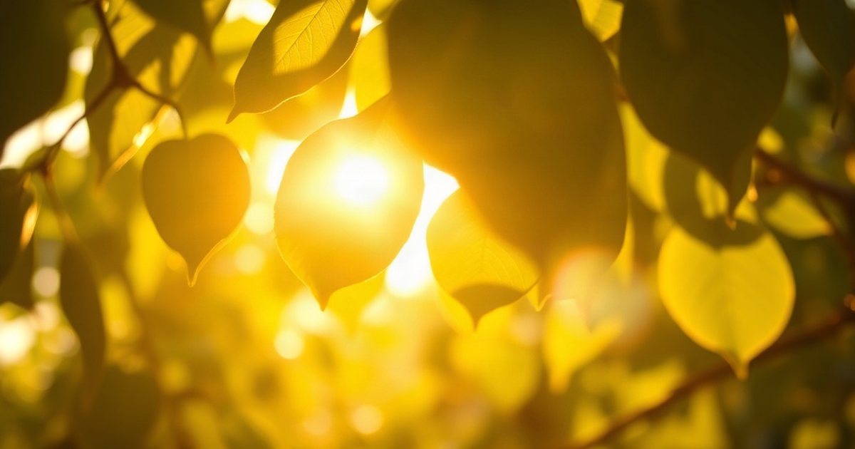 Vitamin K2: A Partner for Arterial Health - VitaminD3K2Hub