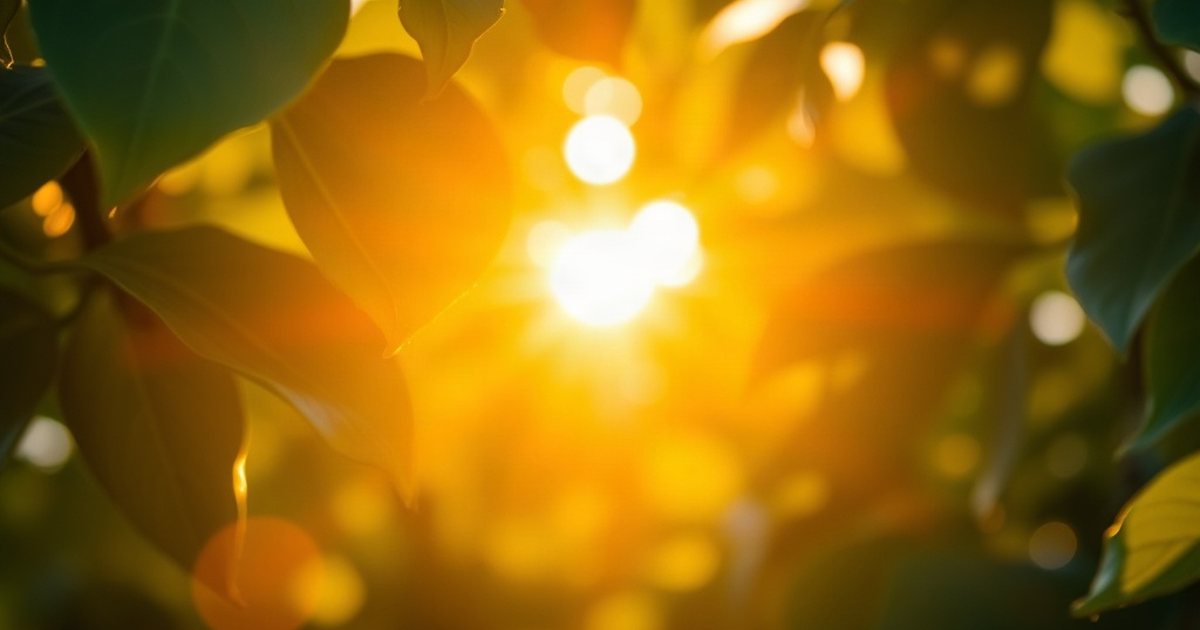 Exploring Vitamin K2: Diverse Dietary Forms - VitaminD3K2Hub