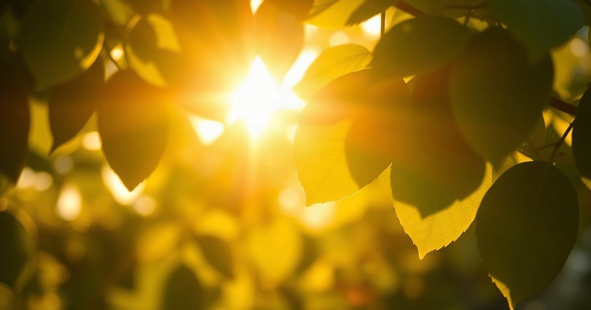 Menaquinone-7 (MK-7): Characteristics and Sources - VitaminD3K2Hub