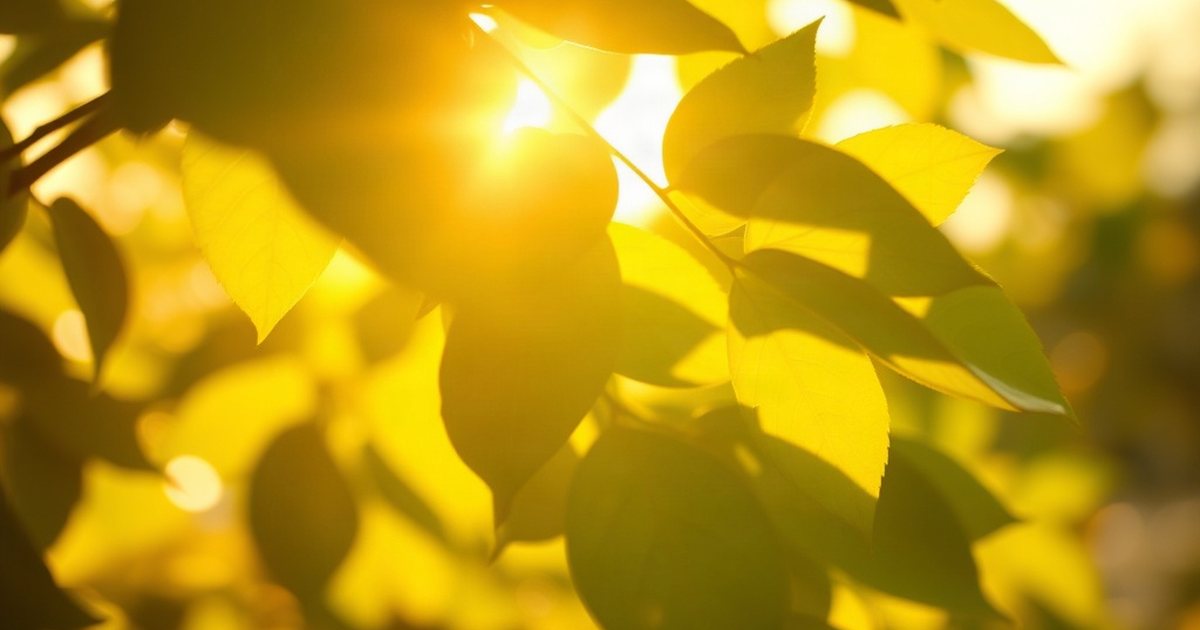 D3 + K2 and Hair Health: What the Current Understanding Suggests - VitaminD3K2Hub
