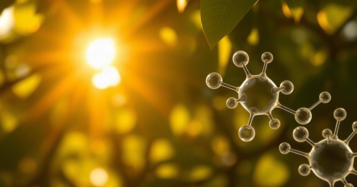 The Synergy of Vitamin D3 and K2 for Cardiovascular Wellness - VitaminD3K2Hub