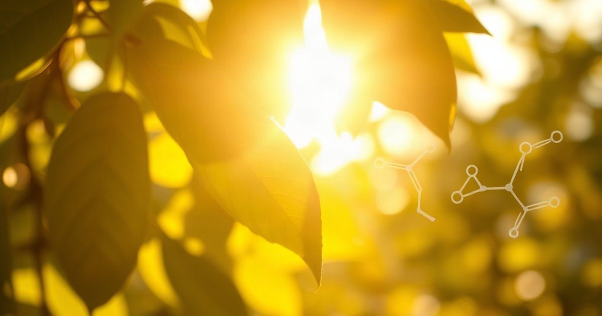 Vitamin K2: A Partner in Calcium Management - VitaminD3K2Hub