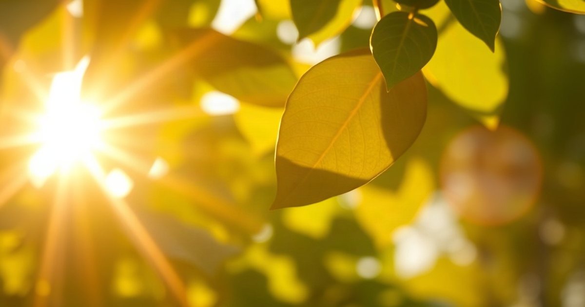 The D3 + K2 Partnership: Potential Interactions - VitaminD3K2Hub