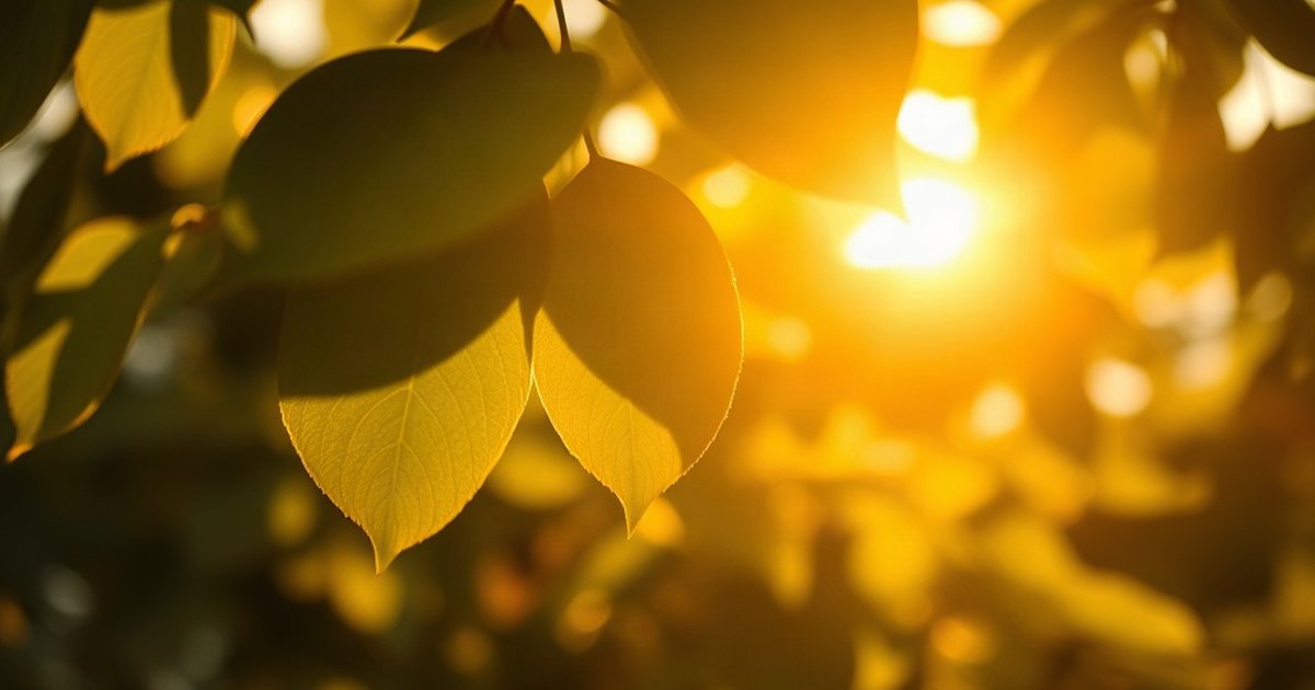 Vitamin K2: A Partner for D3 and Beyond