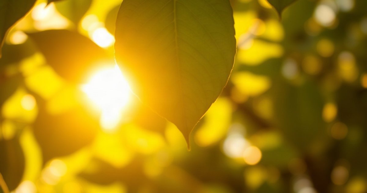 Transparency in Manufacturing and Sourcing